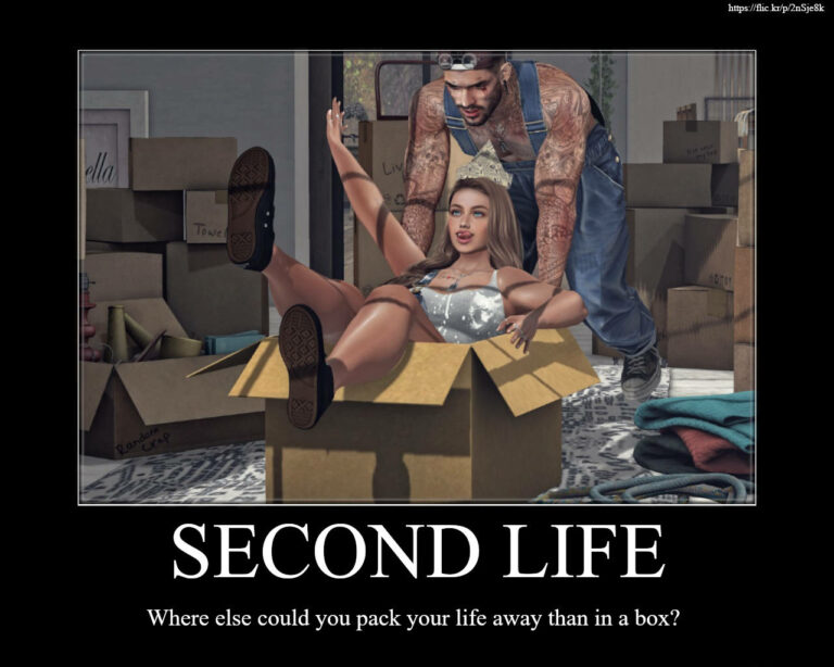 Second Life Fun Memes
