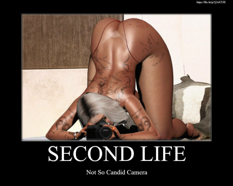 Second Life Meme - Not so candid camera