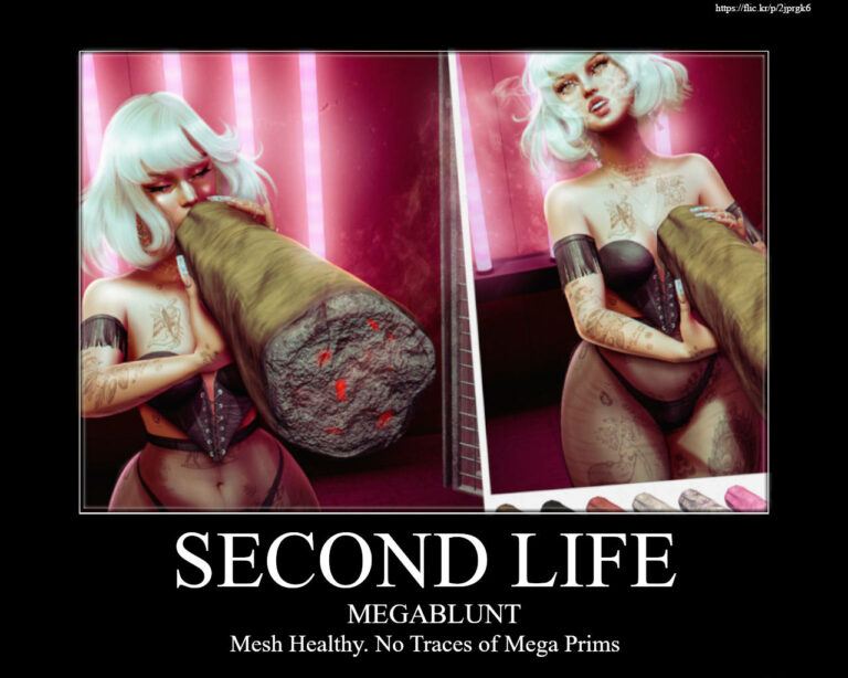 Second Life Meme - Blunt