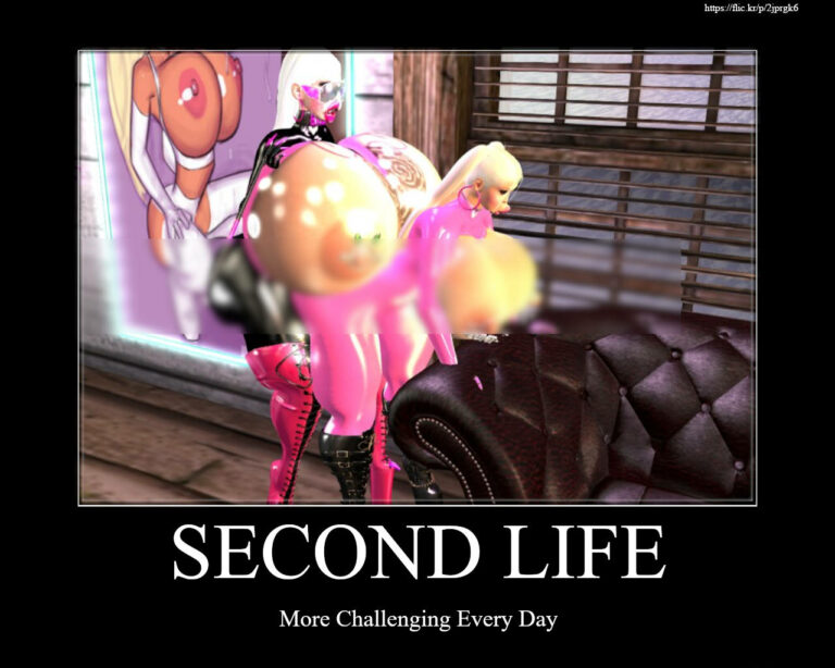 Second Life Meme - Challenging